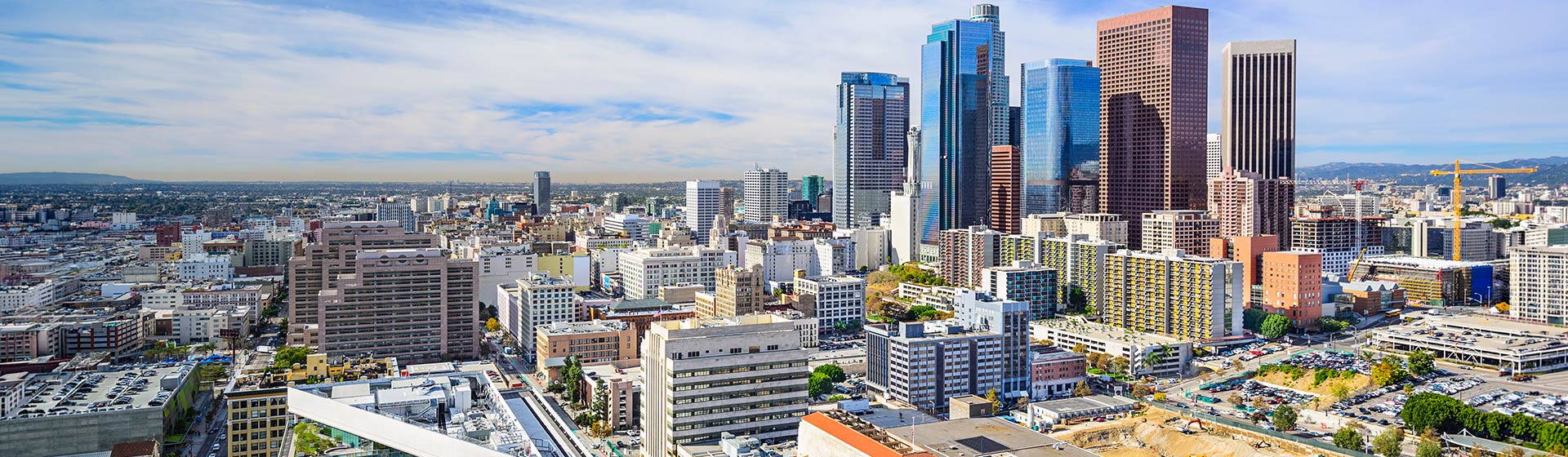 Los Angeles Banner