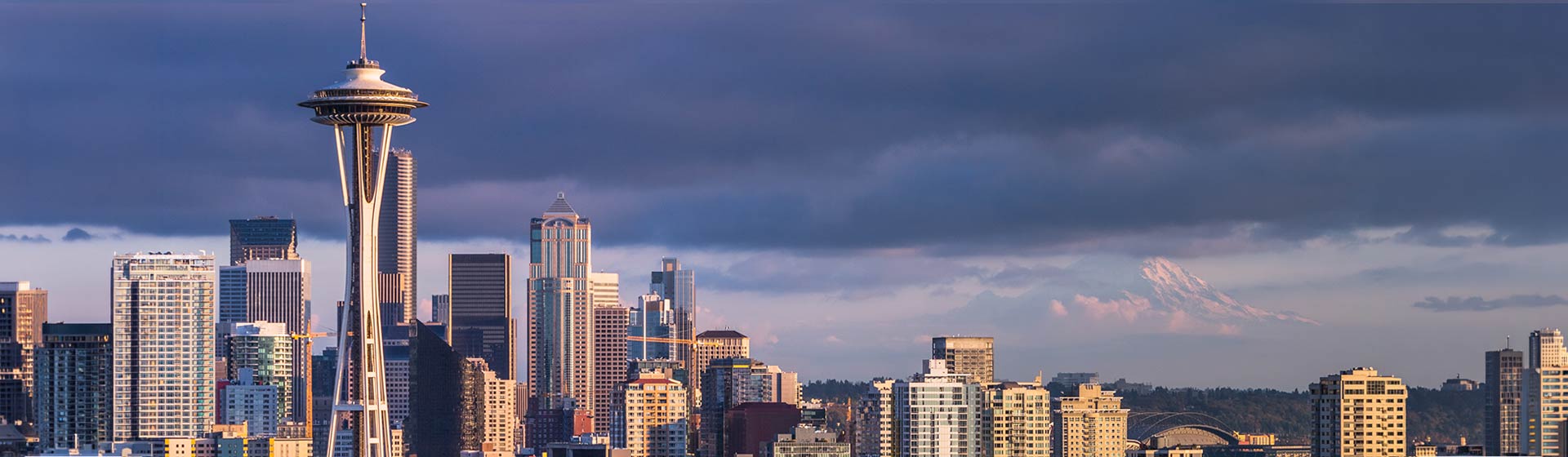 Seattle Banner