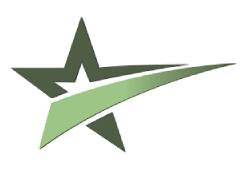 Lone Star Systems Supply Logo