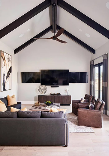 home theater solutions