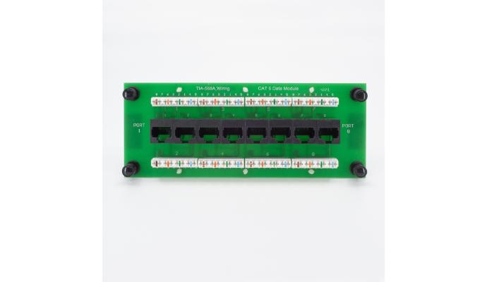 8 Port Cat 6 Data Module - T568A wiring